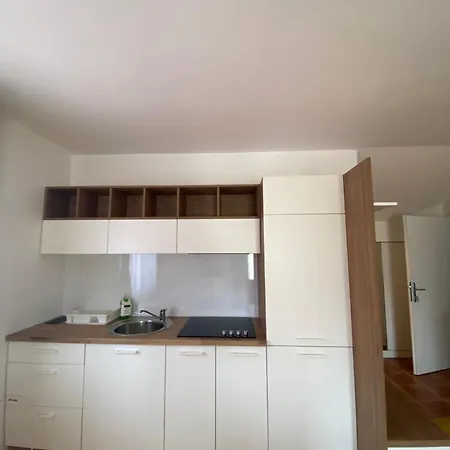 Lejlighed Mr Banja Vrujci Mionica